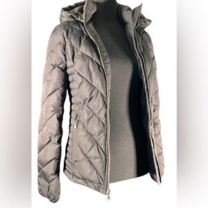 Express Women Puffer Coat